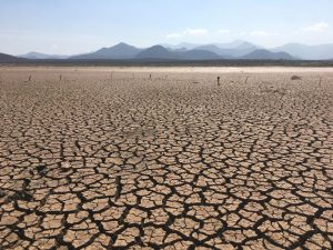 Nouvelle canicule imminente : la France face à l’usure climatique et à l’inégalité des vulnérabilités